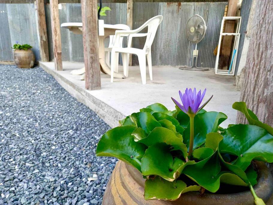 Grandma'S House Villa Chiang Mai Ngoại thất bức ảnh